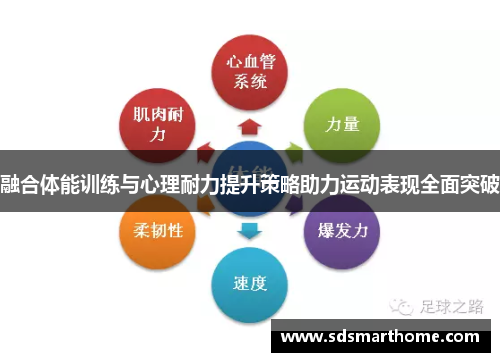 融合体能训练与心理耐力提升策略助力运动表现全面突破